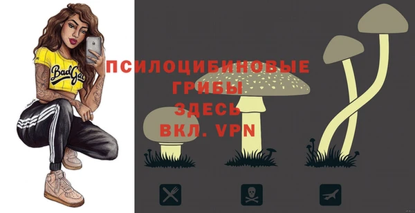 а пвп мука Беломорск