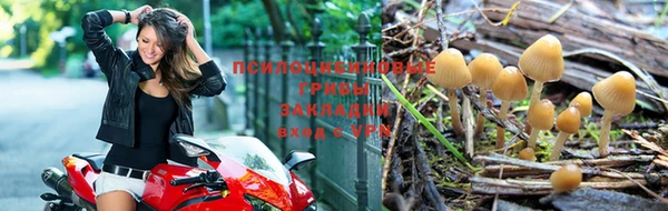 марихуана Белокуриха