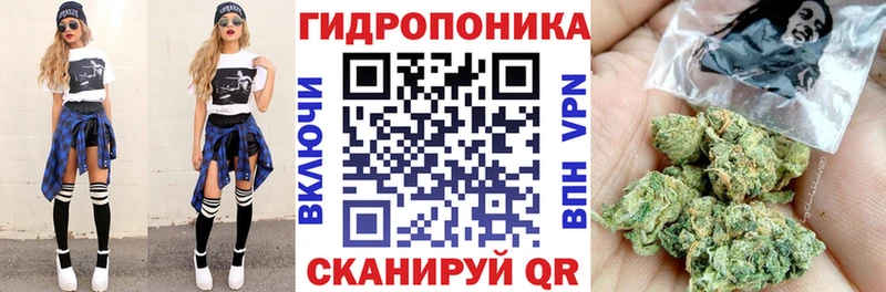 Шишки марихуана AK-47 где можно купить наркотик Курчатов